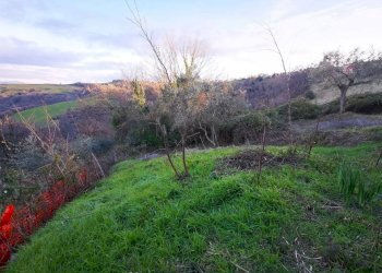 Rustico Tavoleto - foto 16