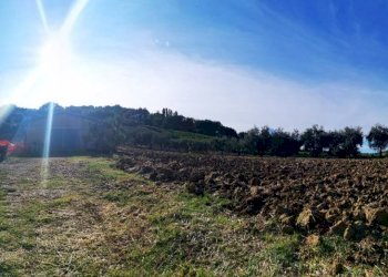 Capannone via San Pietro, Gemmano - foto 1