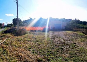 Capannone via San Pietro, Gemmano - foto 2