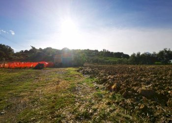 Capannone via San Pietro, Gemmano - foto 4