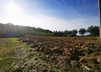 Capannone via San Pietro, Gemmano - foto 5