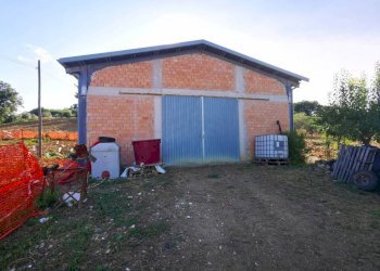 Capannone via San Pietro, Gemmano - foto 6