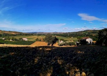 Capannone via San Pietro, Gemmano - foto 7