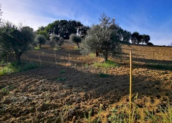 Capannone via San Pietro, Gemmano - foto 12