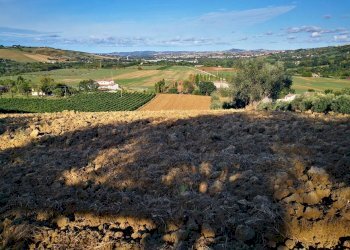 Capannone via San Pietro, Gemmano - foto 8