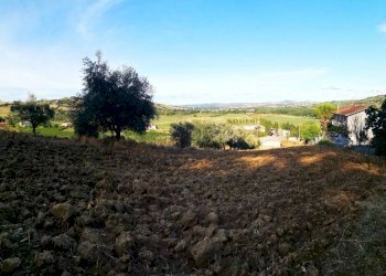 Capannone via San Pietro, Gemmano - foto 9