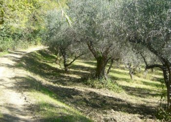 Terreno agricolo via Valdifranco, Montefiore Conca - foto 5