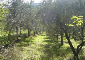 Terreno agricolo via Valdifranco, Montefiore Conca - foto 6