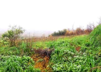 Rustico via Monte del Prete Basso, Saludecio - foto 26