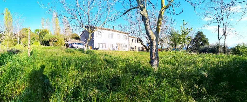 Rustico strada Provinciale Circonvallazione di Tavoleto, Tavoleto - foto 3