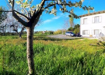 Rustico strada Provinciale Circonvallazione di Tavoleto, Tavoleto - foto 2