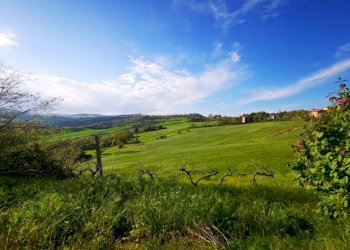 Rustico strada Provinciale Circonvallazione di Tavoleto, Tavoleto - foto 34