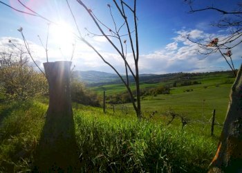 Rustico strada Provinciale Circonvallazione di Tavoleto, Tavoleto - foto 35