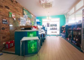 Bar Tavola Calda - Fredda Montescudo - Monte Colombo - foto 9