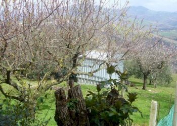 Casa indipendente via Roma, 66, Tavoleto - foto 13