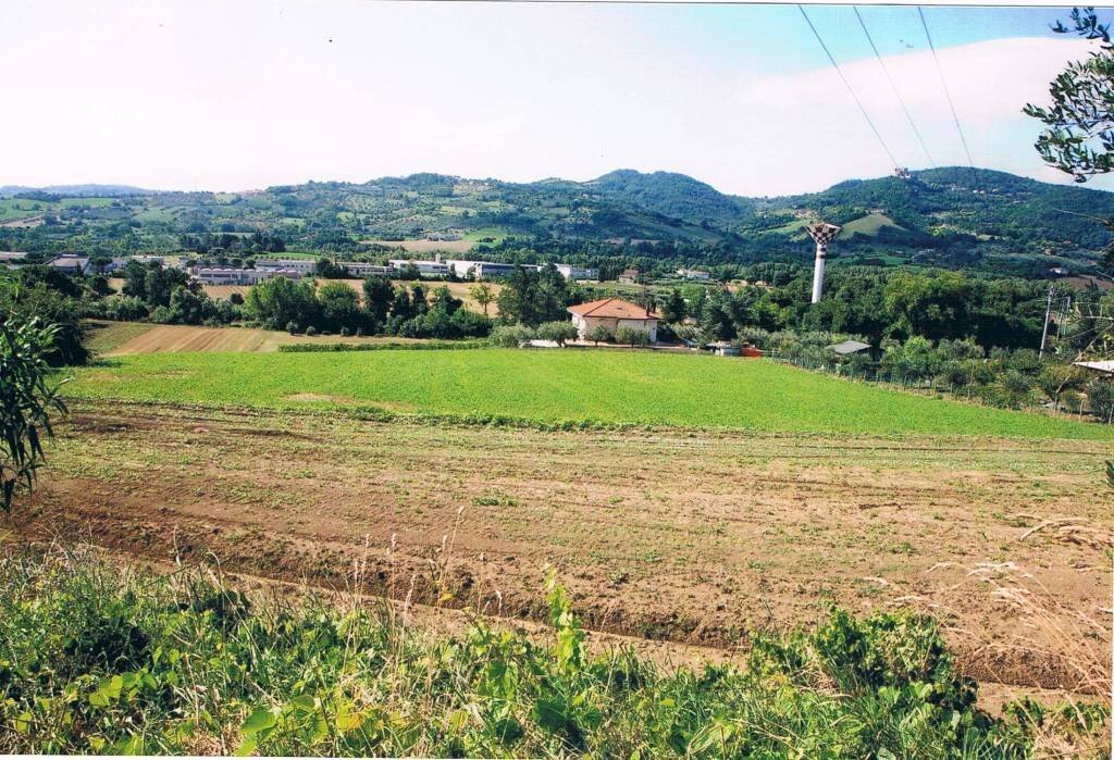 Agricultural land San Clemente - photo 1