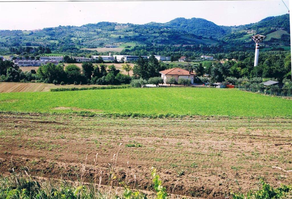 Agricultural land San Clemente - photo 2