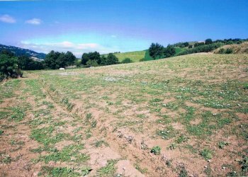 Terreno agricolo San Clemente - foto 3