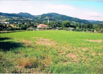 Terreno agricolo San Clemente - foto 4