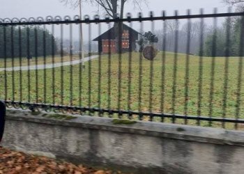 Terreno - Terreno edificabile via 4 Novembre, 51, Barzanò - foto 2