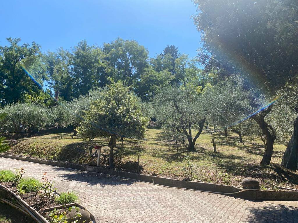 Rustic Pesaro - photo 2