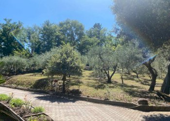 Rustic Pesaro - photo 6