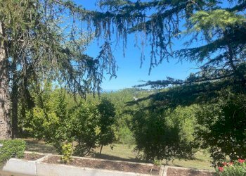 Rustico Pesaro - foto 7