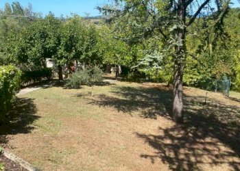 Rustic Pesaro - photo 8
