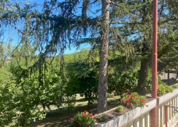 Rustico Pesaro - foto 11