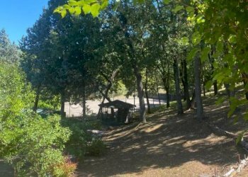 Rustico Pesaro - foto 18