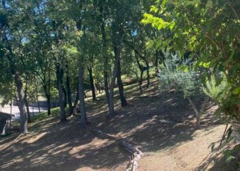 Rustic Pesaro - photo 20
