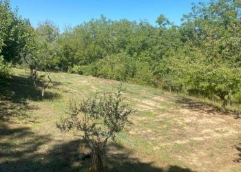 Rustic Pesaro - photo 22