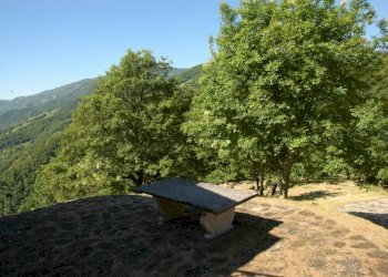Rustic Badia Tedalda - photo 17