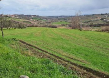 Terreno - Rustico Coriano - foto 5