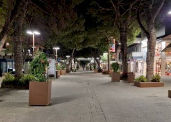 Zona - Ristorante viale Maria Ceccarini, Riccione - foto 2