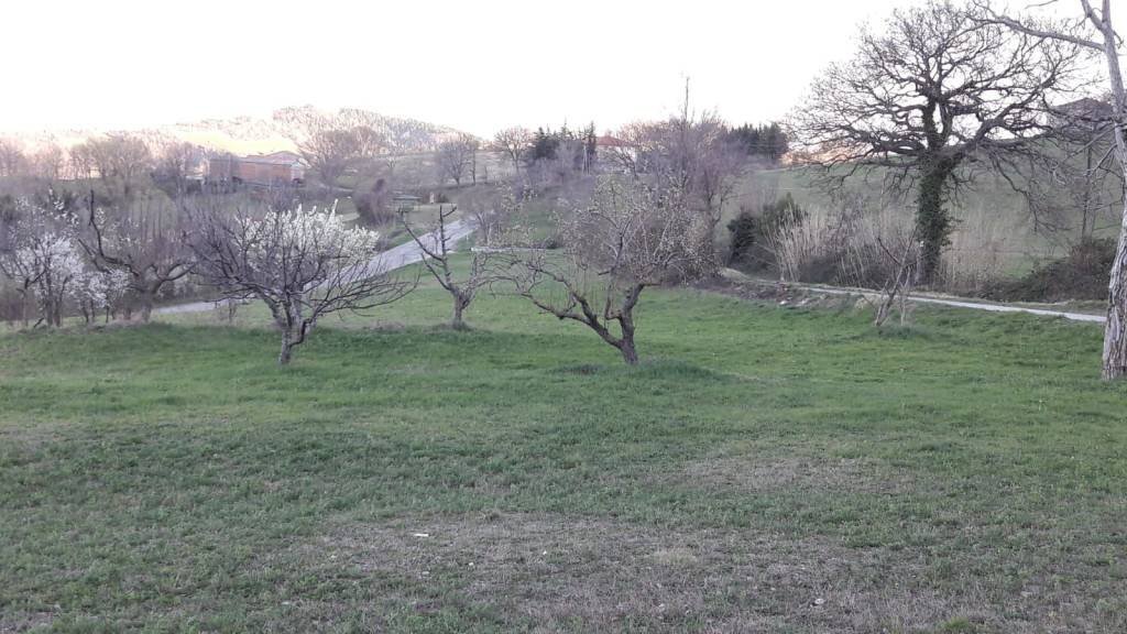 vista lotto - Terreno edificabile via Ca' Righeto, Monte Grimano Terme - foto 3