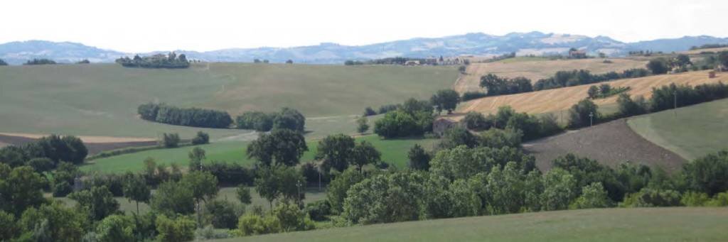 Rustic Montegridolfo - photo 3