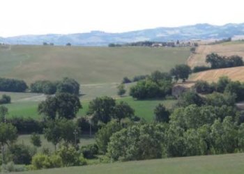 Rustico Montegridolfo - foto 3