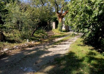 vista esterna - Villa via Ripa Bianca, Coriano - foto 18