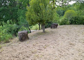 Rustico via San Donato, Monte Cerignone - foto 5