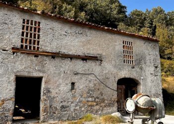 20.jpg - Villa Licciana Nardi - foto 3