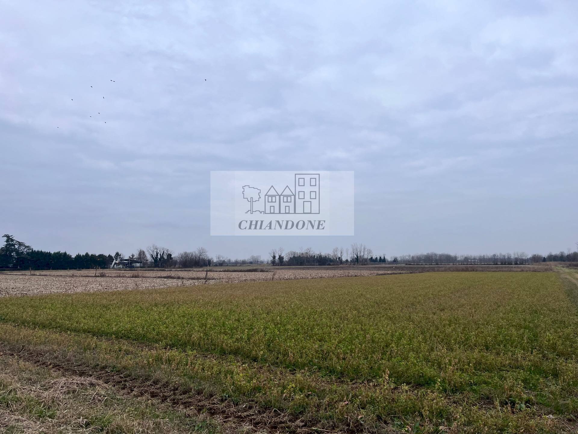 Terreno edificabile Fontanafredda - foto 3