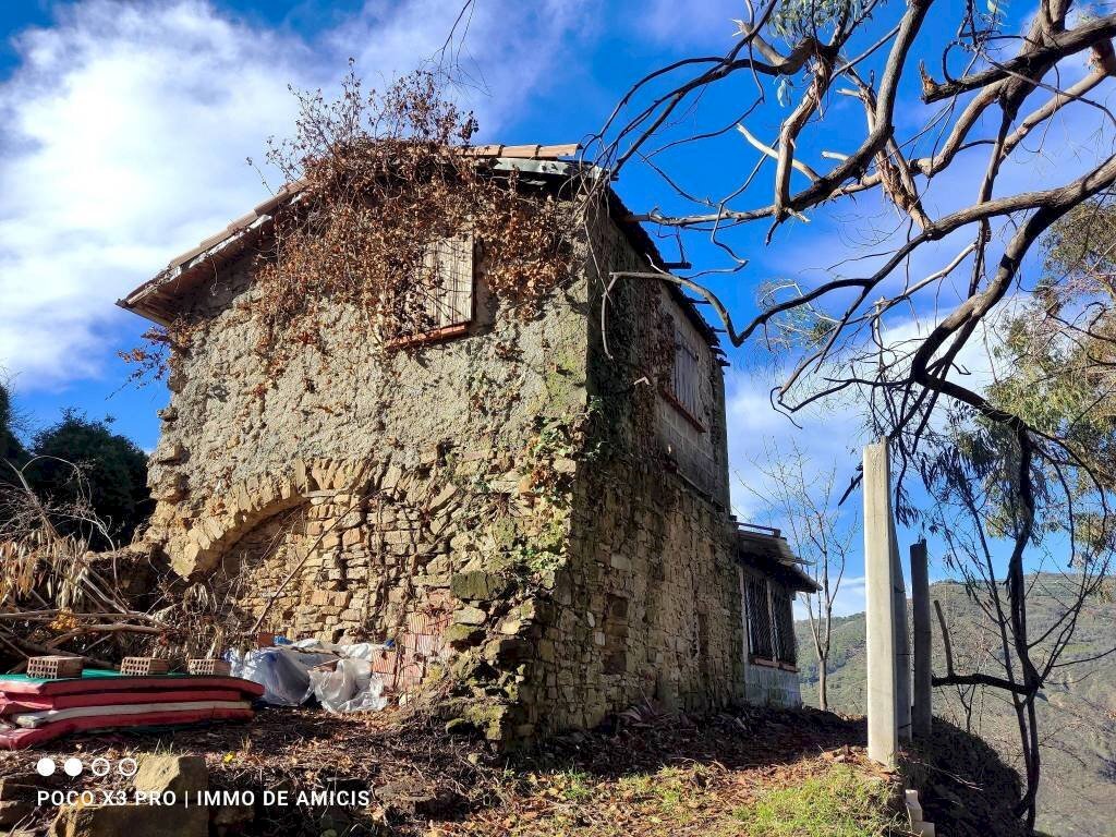 Terreno - Rustic Località Moglie, Perinaldo - photo 1
