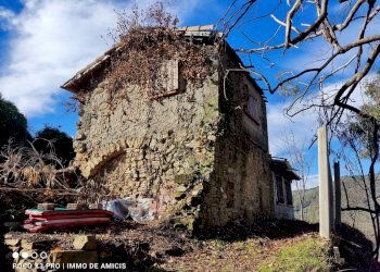 Terreno - Rustico Località Moglie, Perinaldo - foto 2