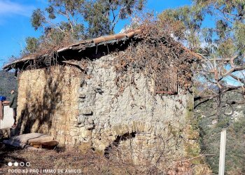 Terreno - Rustico Località Moglie, Perinaldo - foto 4