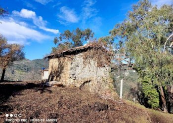 Terreno - Rustico Località Moglie, Perinaldo - foto 5