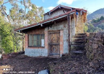 Terreno - Rustico Località Moglie, Perinaldo - foto 6