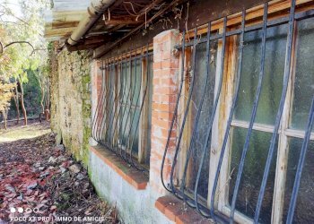 Giardino - Rustico Località Moglie, Perinaldo - foto 10