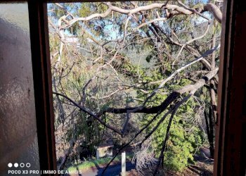 Terreno - Rustico Località Moglie, Perinaldo - foto 18