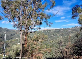 Vista - Rustico Località Moglie, Perinaldo - foto 19